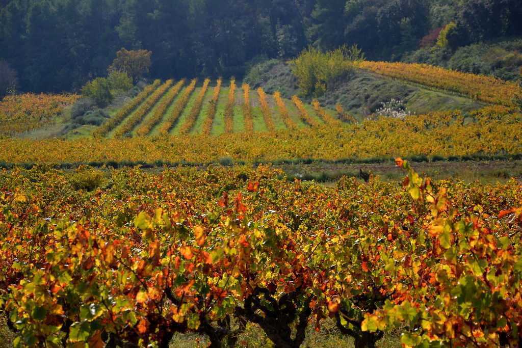Tardor al Penedès Cal Ton Cruset Casa de turisme rural